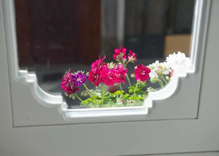 Guest house Vintage Porto